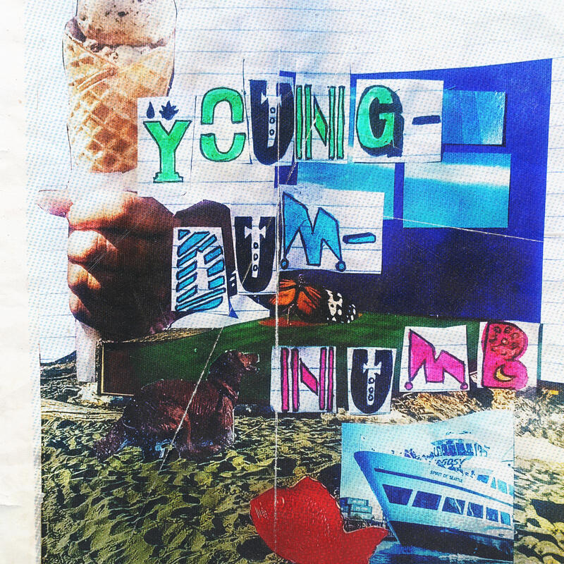 YoungDumNumb album